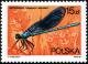 Colnect-1965-605-Banded-Demoiselle-Calopteryx-splendens.jpg