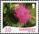 Colnect-4067-103-Spear-Thistle---Cirsium-vulgare-.jpg