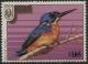 Colnect-4766-596-Kingfisher-Halcyon-azurea.jpg