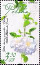 Colnect-5934-170-Clematis-Varieties-of-Poland.jpg