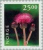 Colnect-162-685-Thistle-Cirsium-sp.jpg