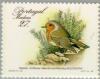 Colnect-186-414-Madeira-Robin-Erithacus-rubecula-microrhynchus-.jpg