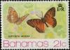 Colnect-2562-220-Mexican-Fritillary-Euptoieta-hegesia.jpg