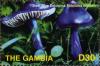 Colnect-3079-626-Entoloma-nitidum-Steel-blue-entoloma.jpg