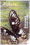 Colnect-4762-513-Ornithoptera-paradisea.jpg