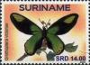 Colnect-5035-839-Ornithoptera-victoriae.jpg