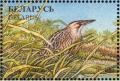 Colnect-1047-777-Eurasian-Bittern-Botaurus-stellaris.jpg