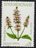 Colnect-1761-439-Mentha-x-piperita--quot-Menta-piperita-quot-.jpg