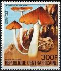 Colnect-2896-693-Termitomyces-aurantiacus.jpg