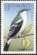 Colnect-3968-307-White-Winged-Triller.jpg