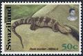 Colnect-5829-657-Rock-Monitor-Varanus-albigularis.jpg