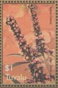 Colnect-6240-711-Vitex-agnus-castus.jpg