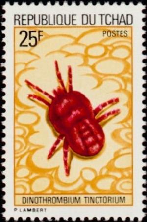 Colnect-1052-808-Red-Velvert-Mite-Dinothrombium-tinctorium.jpg