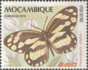 Colnect-1113-937-Zebra-White-Pinacopterix-eriphia.jpg