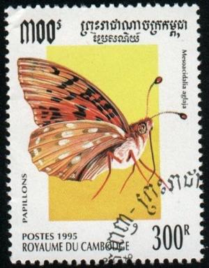 Colnect-1249-662-Dark-Green-Fritillary-Mesoacidalia-aglaya.jpg