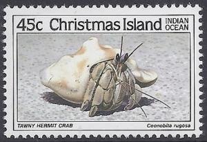 Colnect-1720-141-Tawny-Hermit-Crab-Coenobita-rugosus.jpg