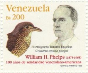 Colnect-1770-744-Phelps---Great-Antpitta-Grallaria-excelsa-ssp-phelpsi.jpg