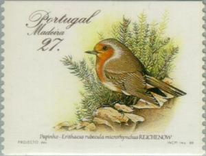 Colnect-186-419-Madeira-Robin-Erithacus-rubecula-microrhynchus.jpg