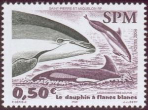 Colnect-878-764-White-sided-dolphin.jpg