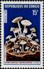 Colnect-2095-241-Termitomyces-microcarpus.jpg