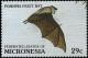 Colnect-3137-390-Pohnpei-Fruit-Bat-Pteropus-molossinus.jpg