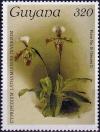 Colnect-4046-741-Cypripedium-lathamianum-inversum.jpg