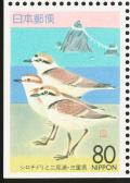 Colnect-818-108-Kentish-Plover-Charadrius-alexandrinus-and-Futamiura-Beach.jpg