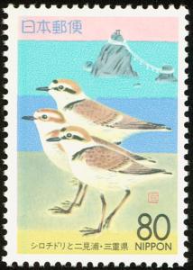 Colnect-818-105-Kentish-Plover-Charadrius-alexandrinus-and-Futamiura-Beach.jpg