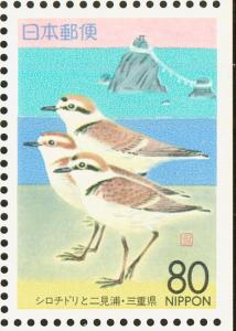 Colnect-818-107-Kentish-Plover-Charadrius-alexandrinus-and-Futamiura-Beach.jpg