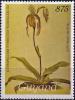 Colnect-4113-666-Cypripedium-hybridum-youngianum.jpg