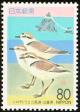 Colnect-818-105-Kentish-Plover-Charadrius-alexandrinus-and-Futamiura-Beach.jpg