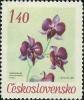 Colnect-438-966-Dendrobium-phalaenopsis-Fitzg.jpg