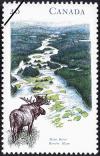 Colnect-1038-386-Main-River-Moose-Alces-alces.jpg