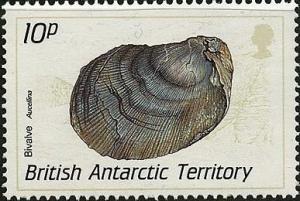 Colnect-1590-766-Bivalve-Aucellina.jpg