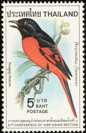 Colnect-2229-756-Scarlet-Minivet-Pericrocotus-flammeus.jpg