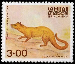 Colnect-5822-076-Golden-Palm-Civet-Paradoxurus-zeylonensis.jpg