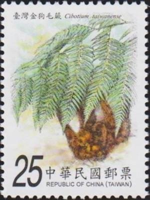 Colnect-3546-671-Cibotium-taiwanense-Cibotium-cumingii.jpg