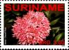 Colnect-4028-795-Ixora-Dwarf-Pink.jpg