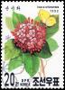 Colnect-3527-572-Ixora-chinensis.jpg