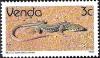 Colnect-2840-109-Ornate-Scrub-Lizard-Nucras-taeniolata-ornata.jpg