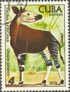 Colnect-691-500-Okapi-Okapia-johnstoni.jpg