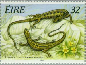 Colnect-129-270-Common-Lizard-Zootoca-vivipara.jpg