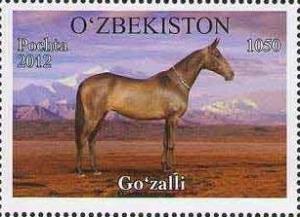 Colnect-1308-513--Gozalli--Equus-ferus-caballus.jpg