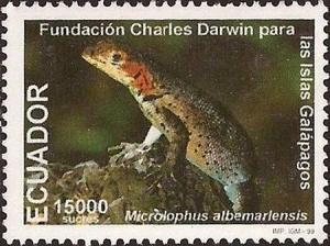 Colnect-3863-071-Galapagos-Lava-Lizard-Microlophus-albermarlensis.jpg