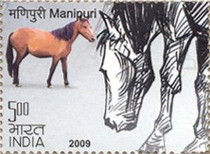 Colnect-545-430-Manipuri-Equus-ferus-caballus.jpg