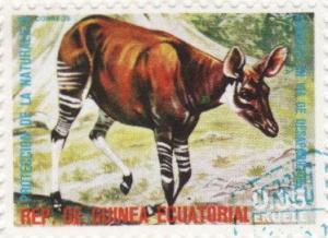 Colnect-958-996-Okapi-Okapia-johnstoni.jpg