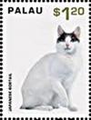 Colnect-4909-975-Japanese-Bobtail.jpg