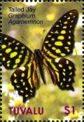 Colnect-3500-482-Tailed-Jay-Graphium-agamemnon.jpg