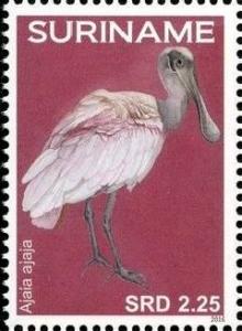 Colnect-4204-524-Ajaia-ajaja-Roseate-Spoonbill.jpg