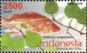 Colnect-1587-534-Humphead-Snapper-Lutjanus-sanguineus-Betel-Leaf-Piper-be.jpg